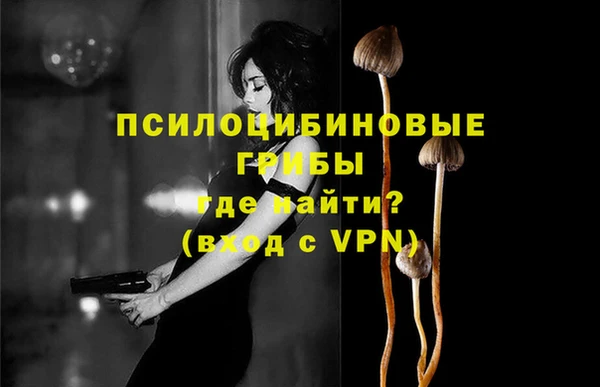 соль курить ск Арсеньев