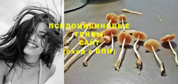 соль курить ск Арсеньев