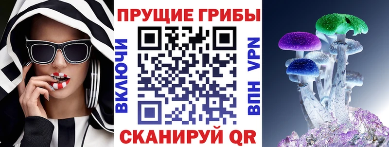 где можно купить   Шатура  Галлюциногенные грибы мицелий 