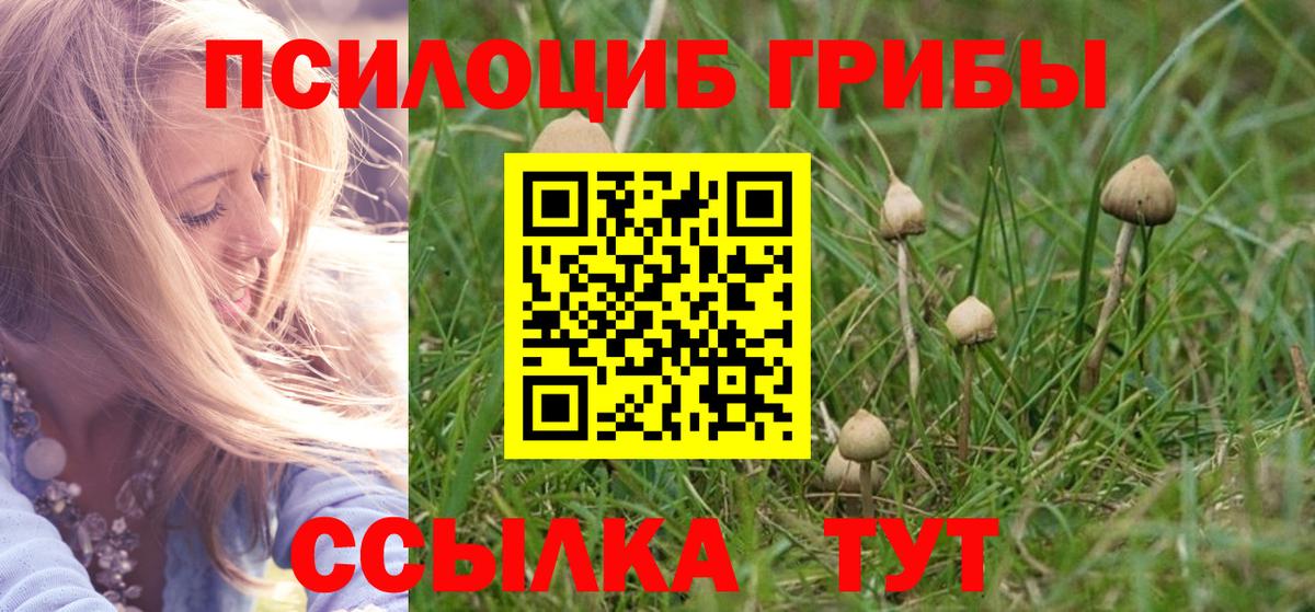 хочу наркоту  Псилоцибиновые грибы Psilocybe  Вход с VPN  Шатура 