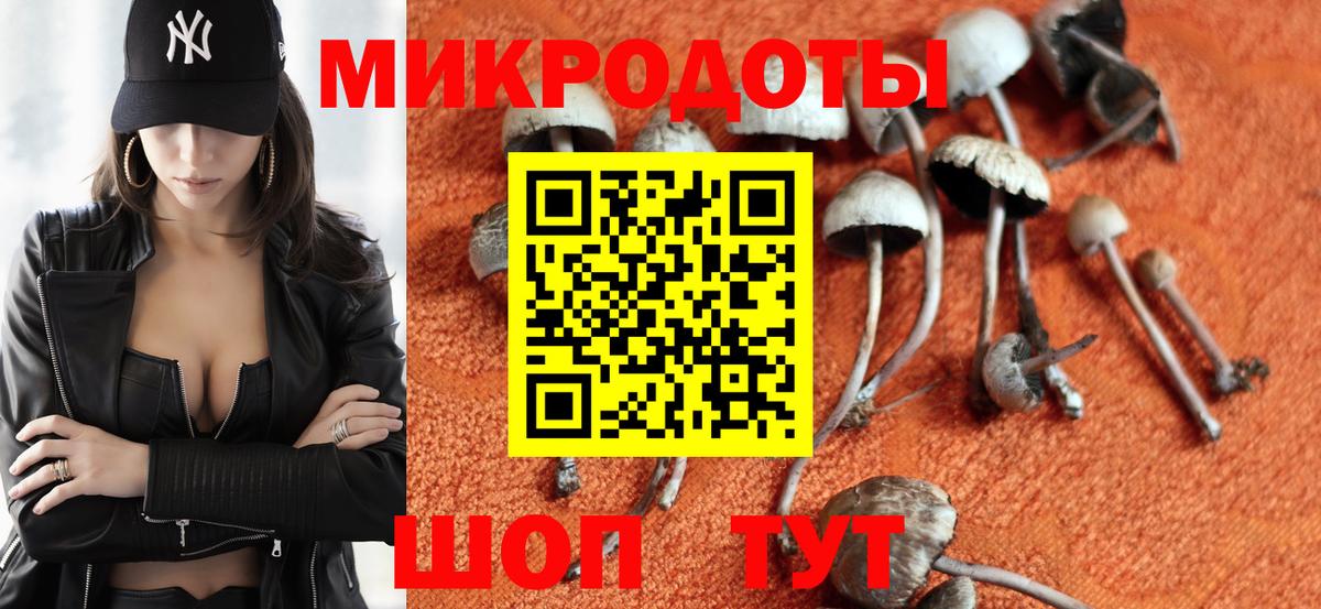 Псилоцибиновые грибы мицелий Шатура